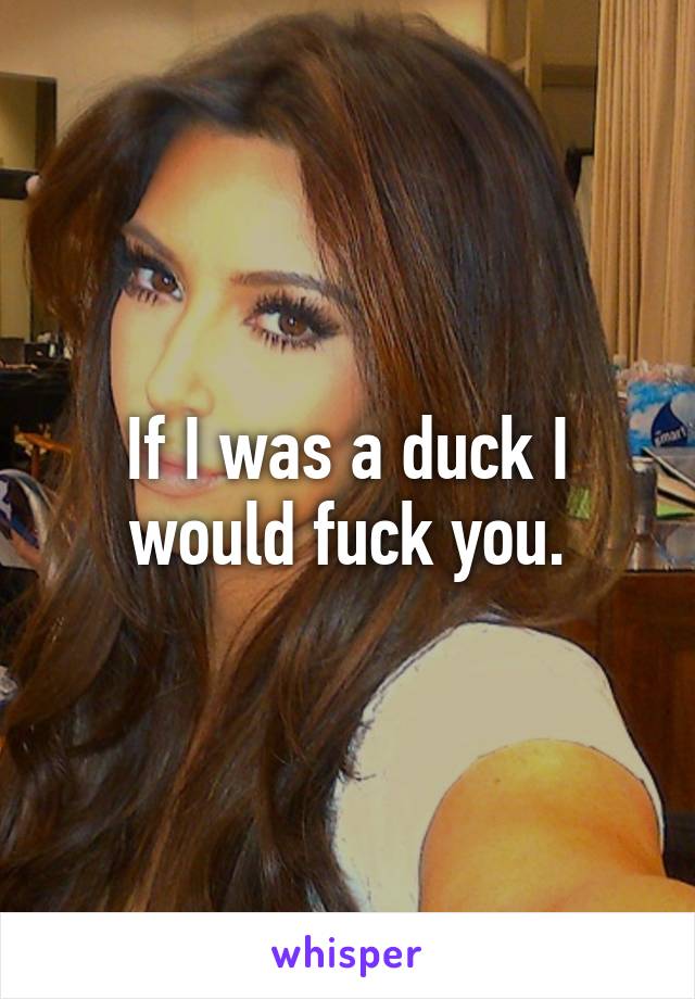 If I was a duck I would fuck you.