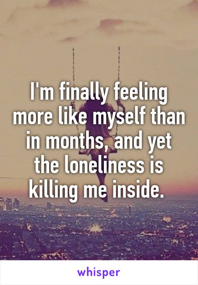 I'm finally feeling more like myself than in months, and yet the loneliness is killing me inside. 