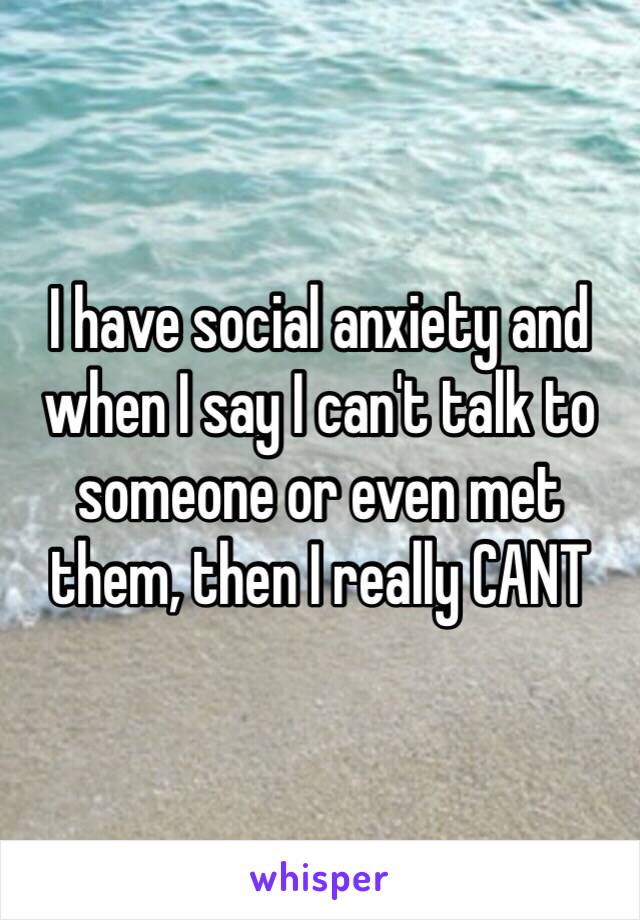 I have social anxiety and when I say I can't talk to someone or even met them, then I really CANT