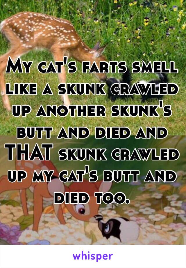 My cat's farts smell like a skunk crawled up another skunk's butt and died and THAT skunk crawled up my cat's butt and died too.