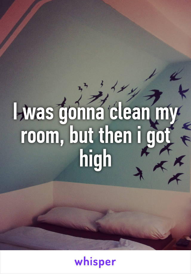 I was gonna clean my room, but then i got high