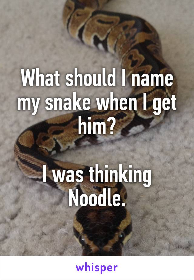 What should I name my snake when I get him?

I was thinking Noodle.