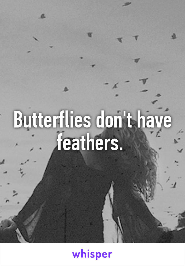 Butterflies don't have feathers. 