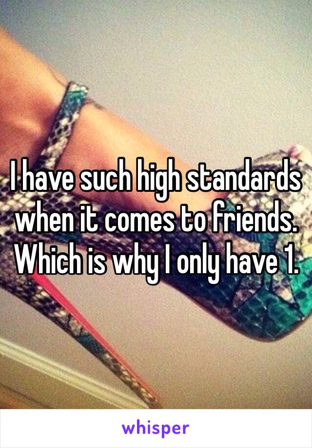 I have such high standards when it comes to friends. Which is why I only have 1.