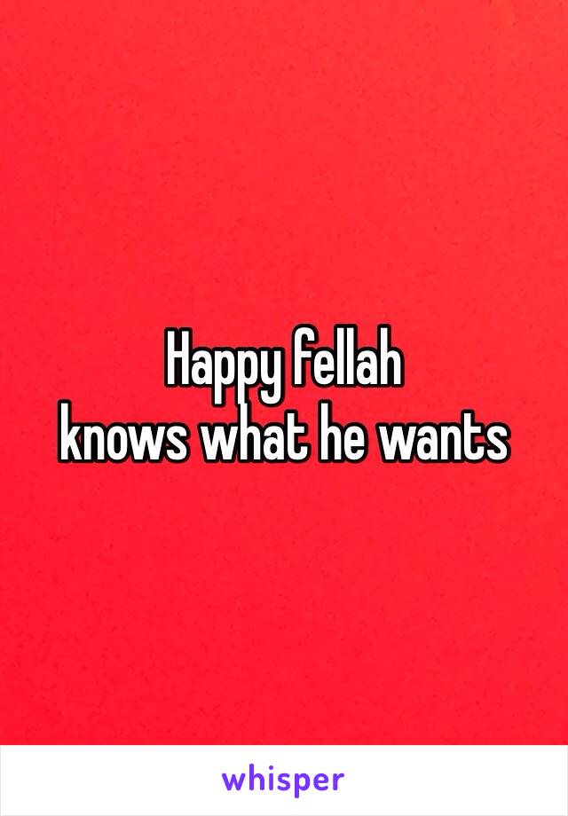 Happy fellah
knows what he wants