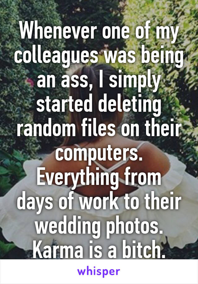 Whenever one of my colleagues was being an ass, I simply started deleting random files on their computers.
Everything from days of work to their wedding photos.
Karma is a bitch.