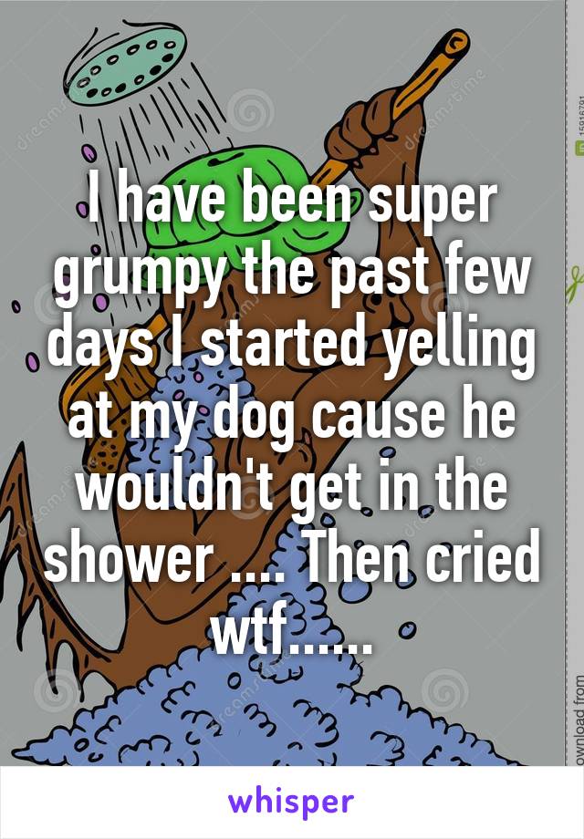 I have been super grumpy the past few days I started yelling at my dog cause he wouldn't get in the shower .... Then cried wtf......