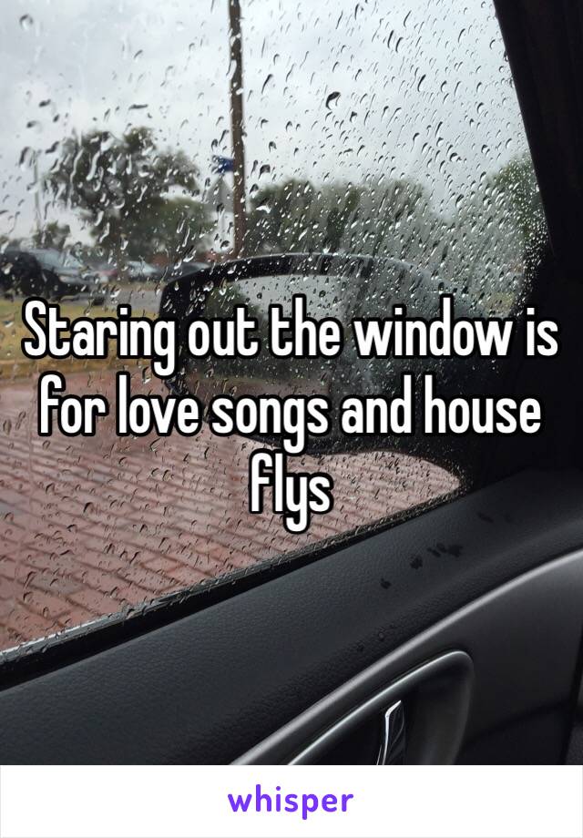 Staring out the window is for love songs and house flys 