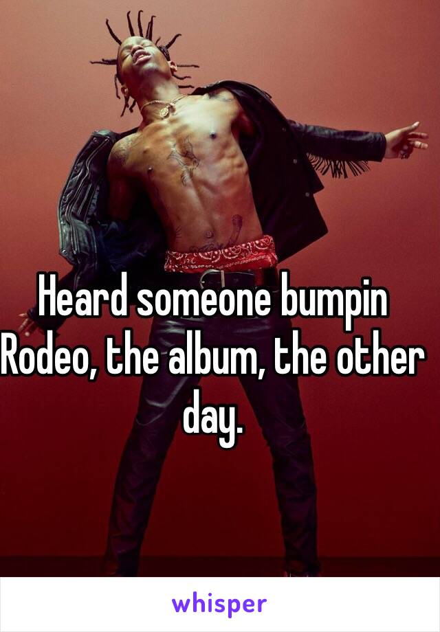 Heard someone bumpin Rodeo, the album, the other day. 