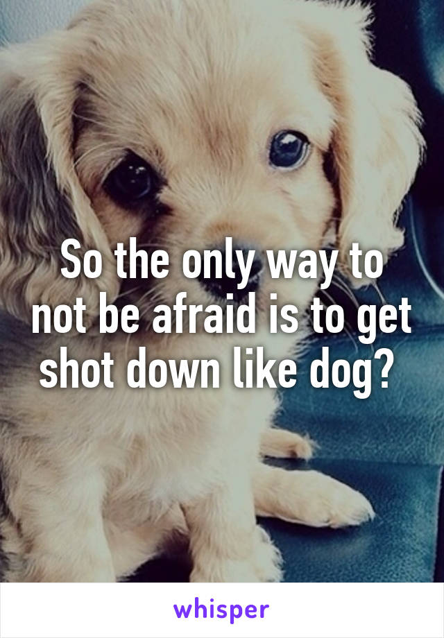 So the only way to not be afraid is to get shot down like dog? 