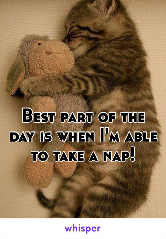 Best part of the
day is when I'm able
to take a nap!
