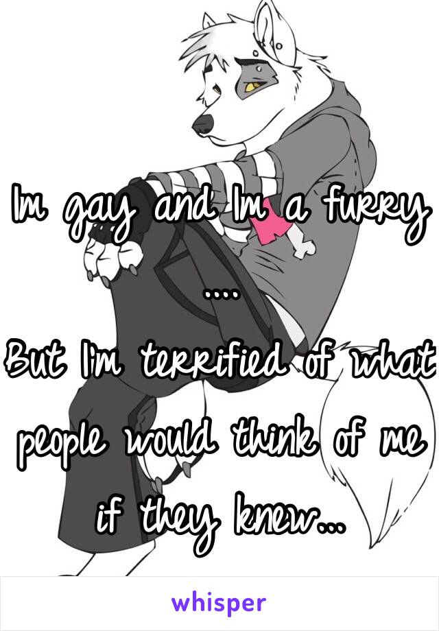 Im gay and Im a furry
....
But I'm terrified of what people would think of me if they knew...