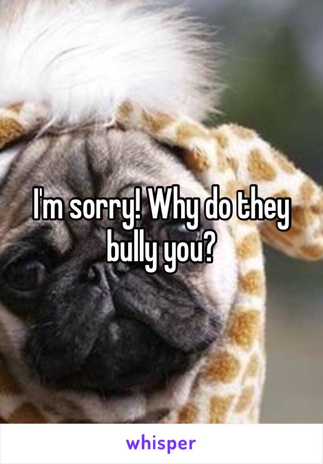 I'm sorry! Why do they bully you?