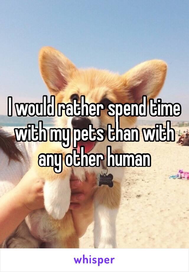 I would rather spend time with my pets than with any other human