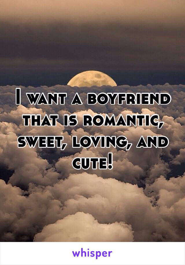 I want a boyfriend that is romantic, sweet, loving, and cute! 