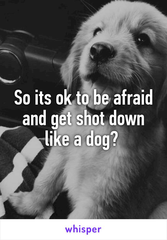 So its ok to be afraid and get shot down like a dog? 