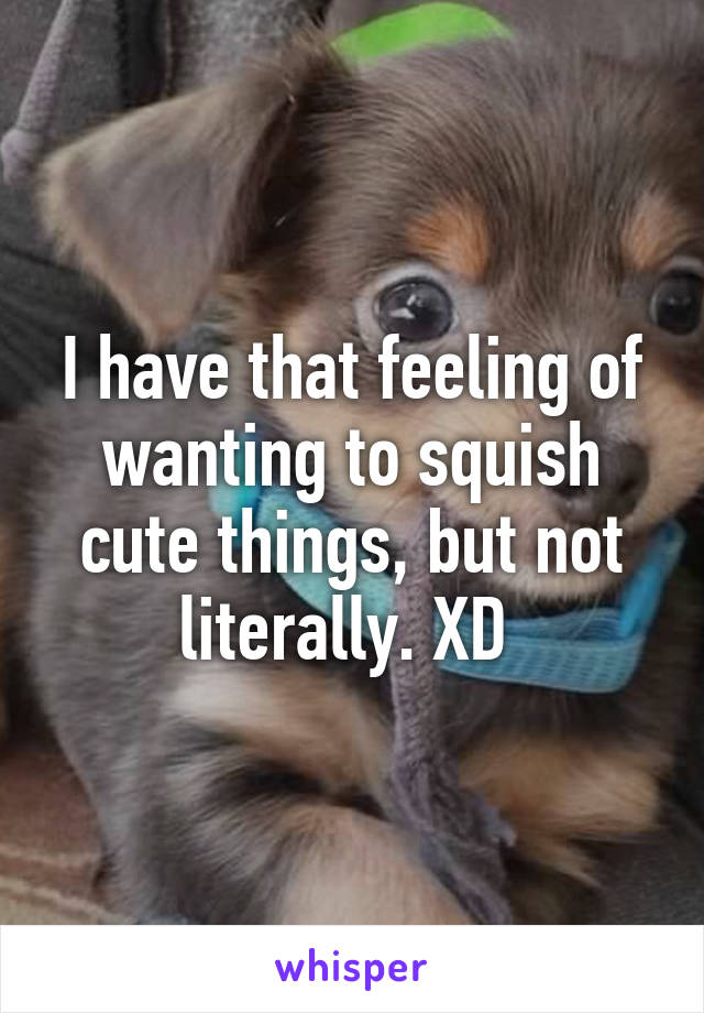 I have that feeling of wanting to squish cute things, but not literally. XD 