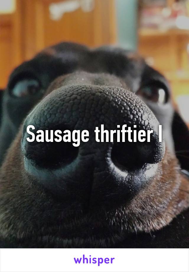 Sausage thriftier I