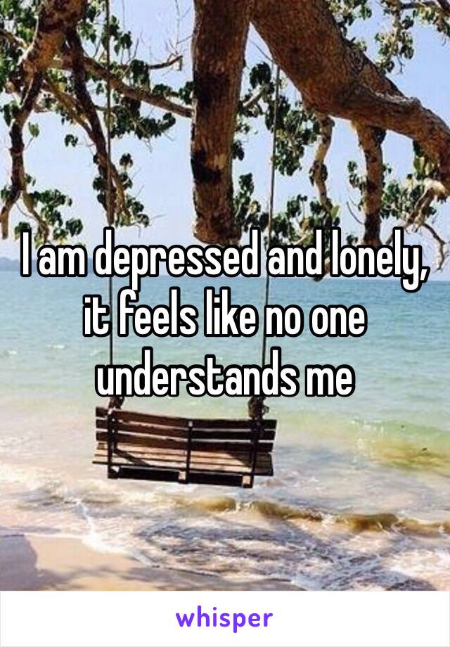 I am depressed and lonely, it feels like no one understands me