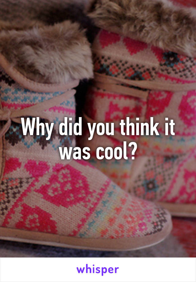 Why did you think it was cool?