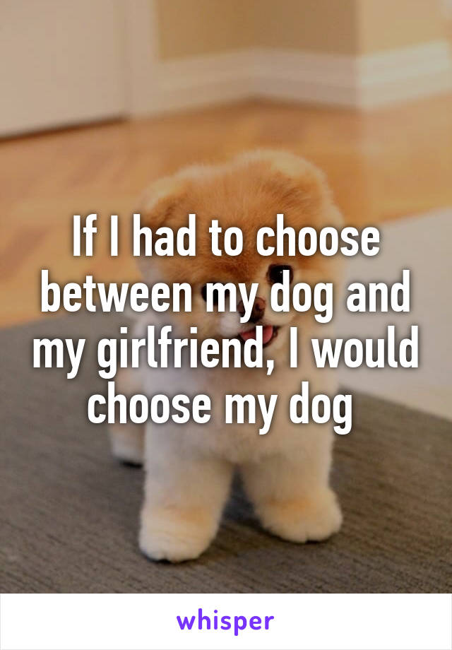 If I had to choose between my dog and my girlfriend, I would choose my dog 