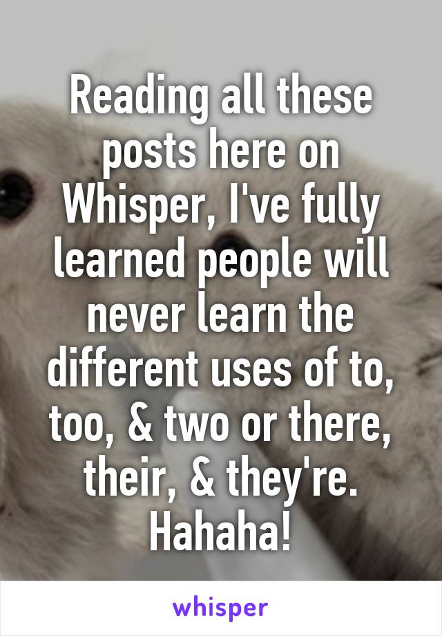 Reading all these posts here on Whisper, I've fully learned people will never learn the different uses of to, too, & two or there, their, & they're. Hahaha!