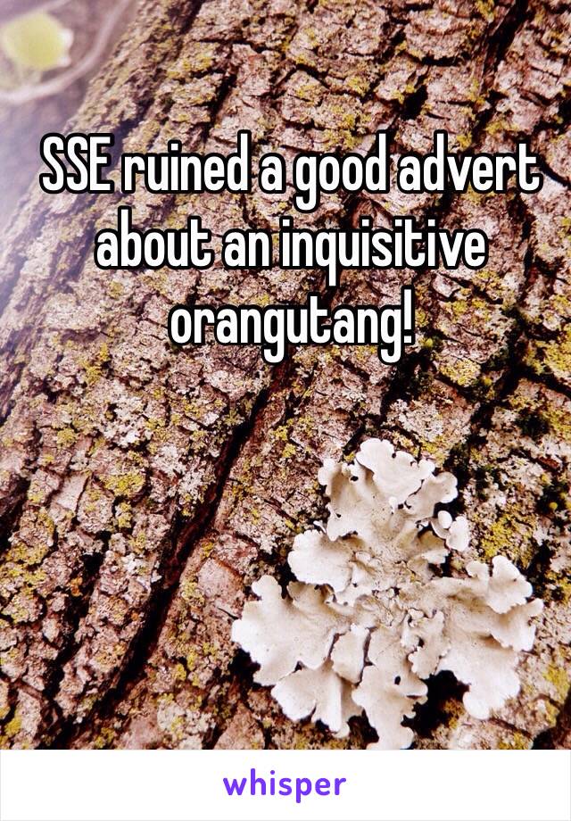 SSE ruined a good advert about an inquisitive orangutang!