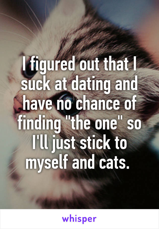 I figured out that I suck at dating and have no chance of finding "the one" so I'll just stick to myself and cats. 