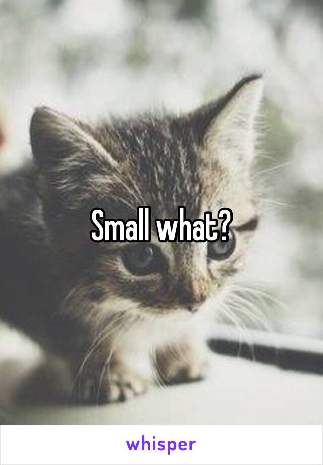 Small what?