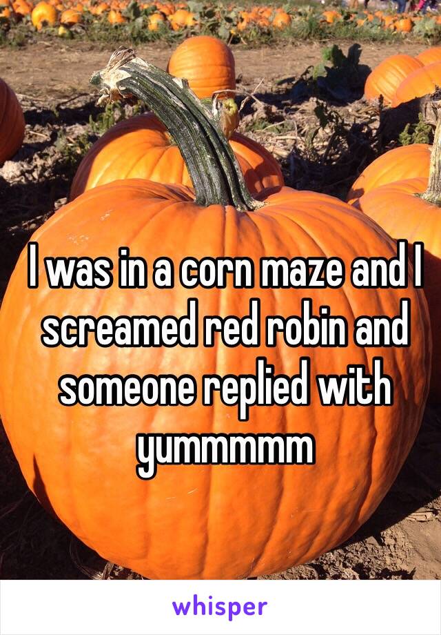 I was in a corn maze and I screamed red robin and someone replied with yummmmm