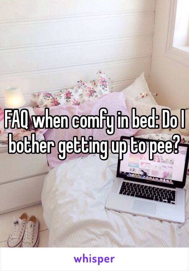 FAQ when comfy in bed: Do I bother getting up to pee?