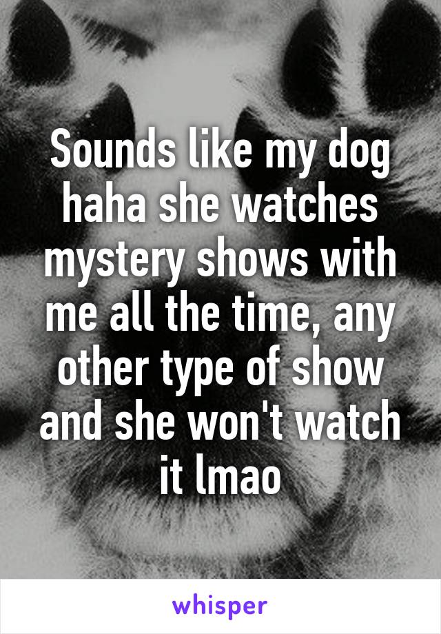 Sounds like my dog haha she watches mystery shows with me all the time, any other type of show and she won't watch it lmao