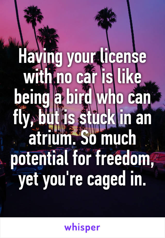 Having your license with no car is like being a bird who can fly, but is stuck in an atrium. So much potential for freedom, yet you're caged in.