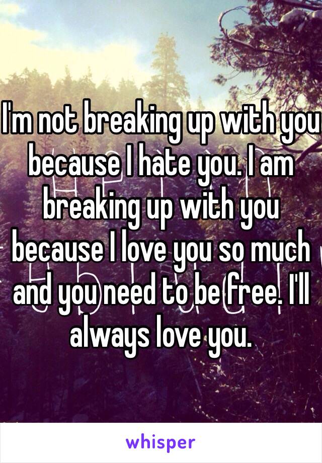 I'm not breaking up with you because I hate you. I am breaking up with you because I love you so much and you need to be free. I'll always love you. 