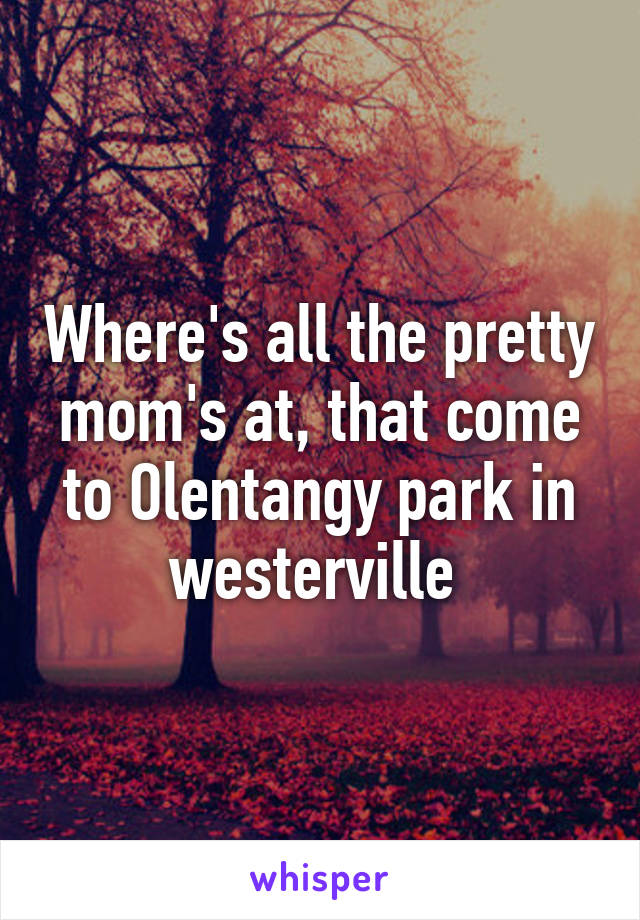 Where's all the pretty mom's at, that come to Olentangy park in westerville 