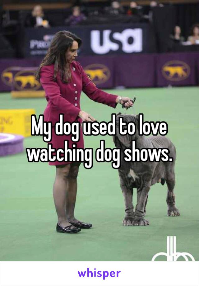 My dog used to love watching dog shows.