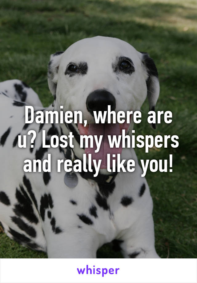 Damien, where are u? Lost my whispers and really like you!