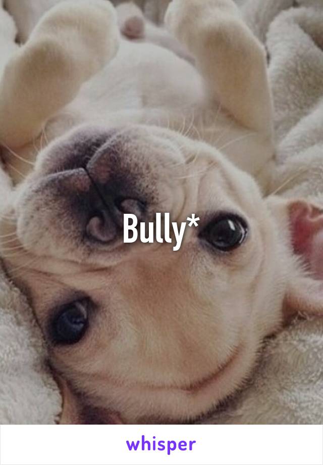 Bully*