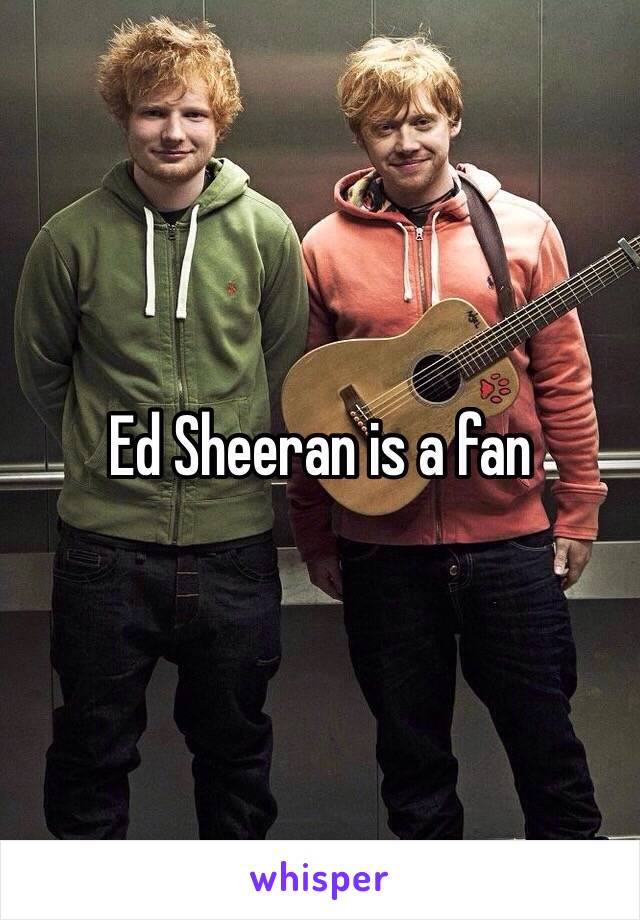 Ed Sheeran is a fan