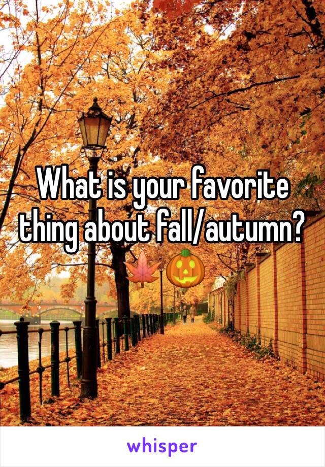 What is your favorite thing about fall/autumn?🍁🎃