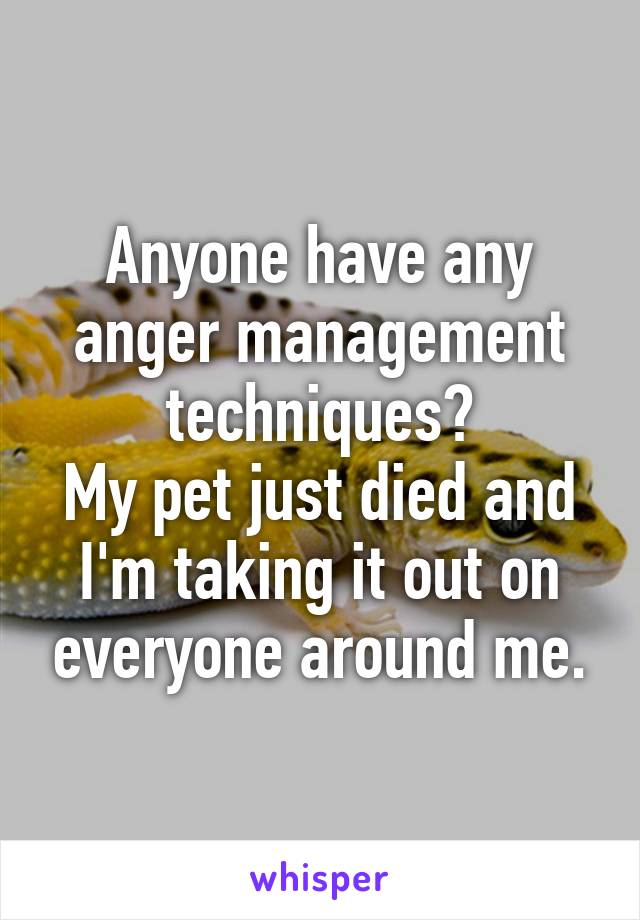 Anyone have any anger management techniques?
My pet just died and I'm taking it out on everyone around me.