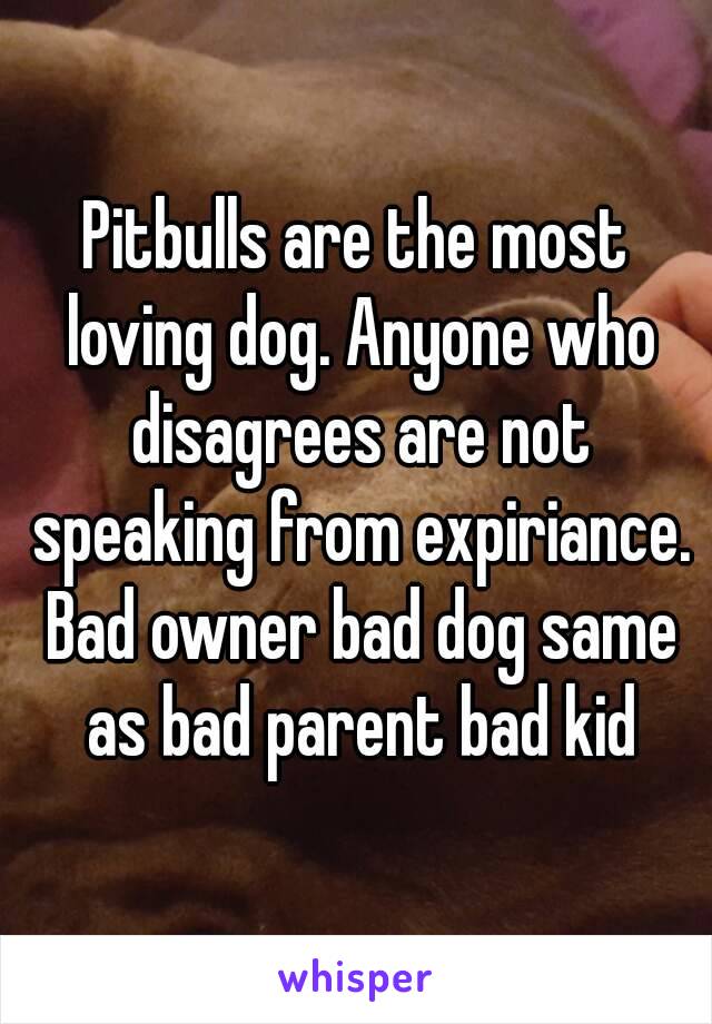 Pitbulls are the most loving dog. Anyone who disagrees are not speaking from expiriance. Bad owner bad dog same as bad parent bad kid