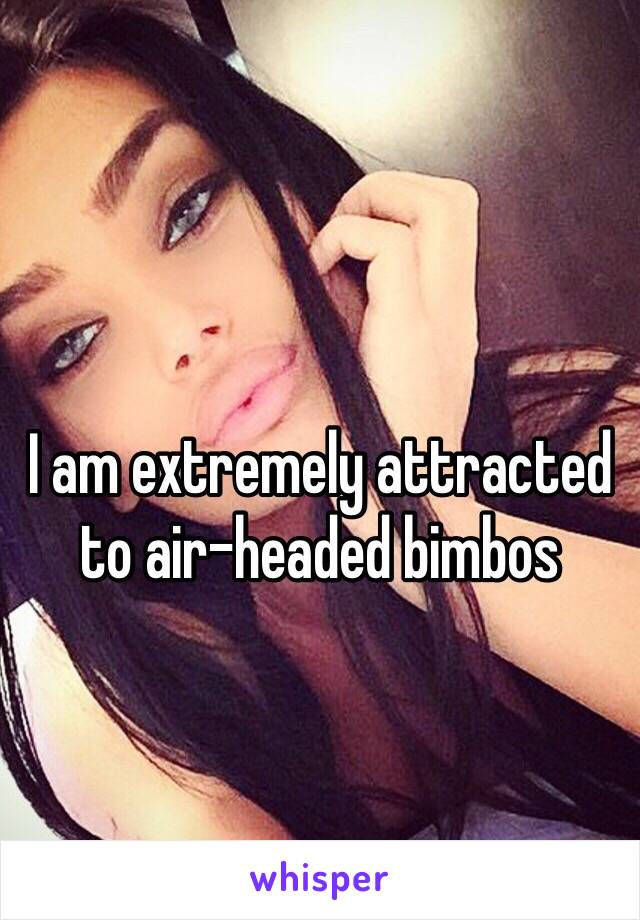 I am extremely attracted to air-headed bimbos 