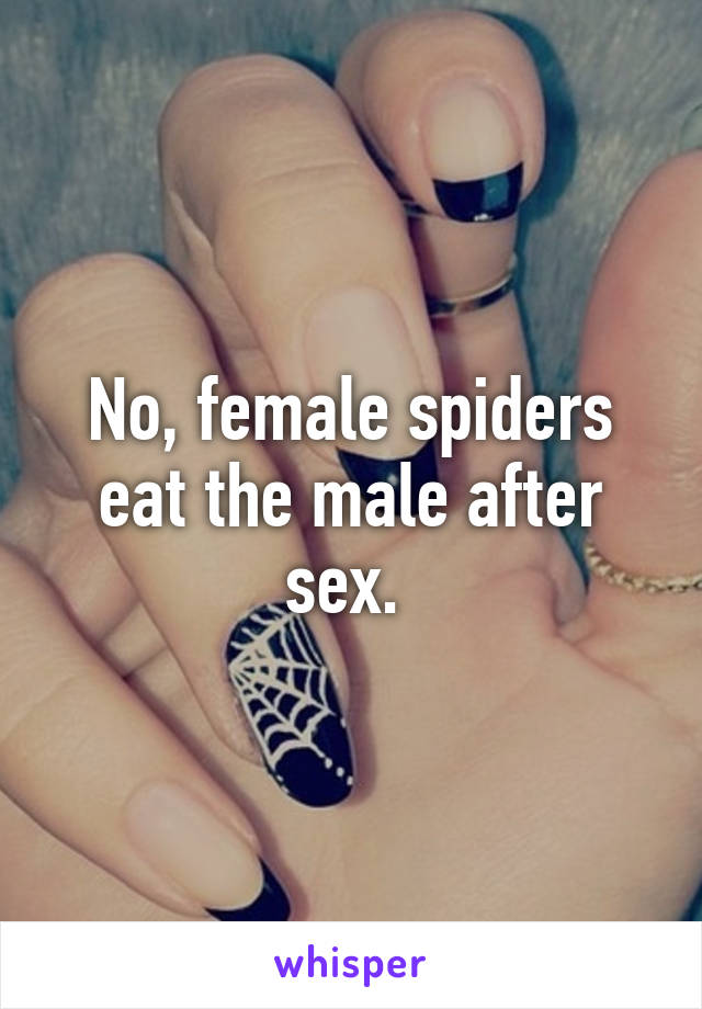 No, female spiders eat the male after sex. 