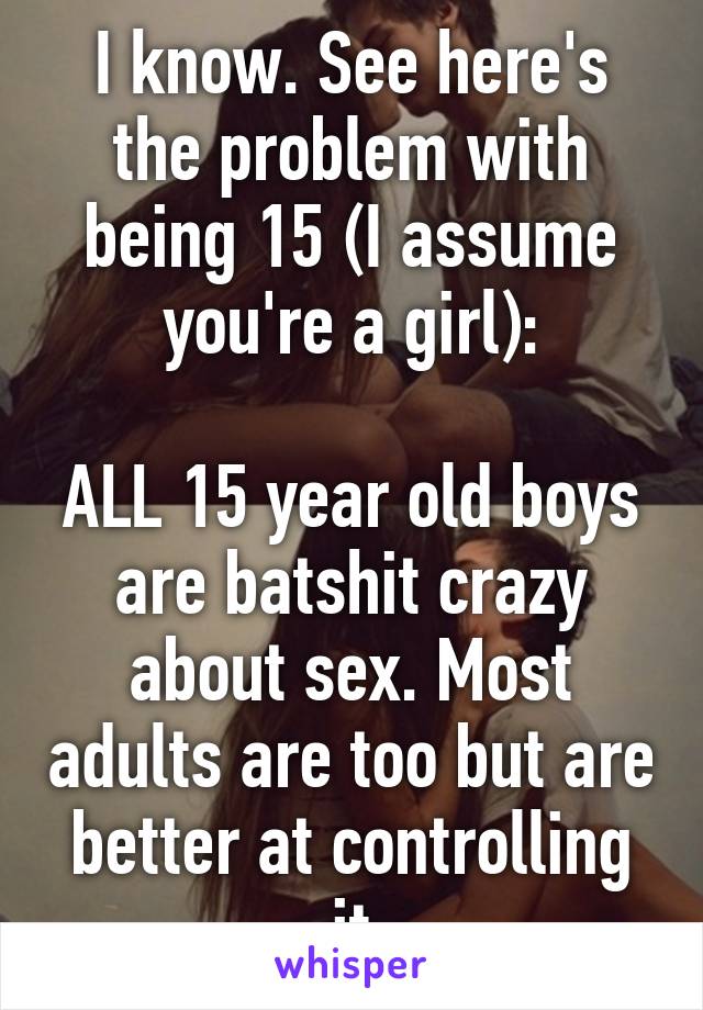 I know. See here's the problem with being 15 (I assume you're a girl):

ALL 15 year old boys are batshit crazy about sex. Most adults are too but are better at controlling it