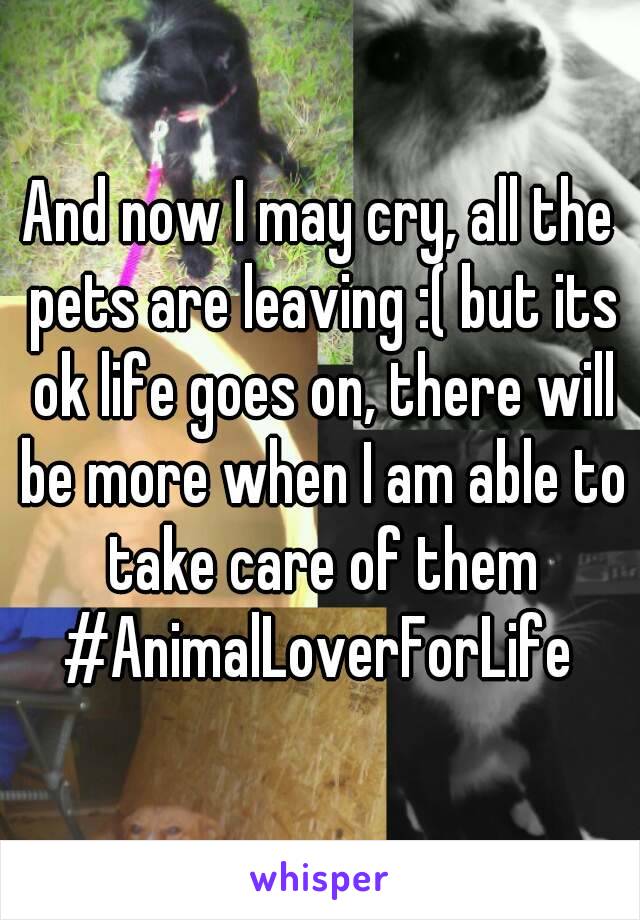 And now I may cry, all the pets are leaving :( but its ok life goes on, there will be more when I am able to take care of them #AnimalLoverForLife 