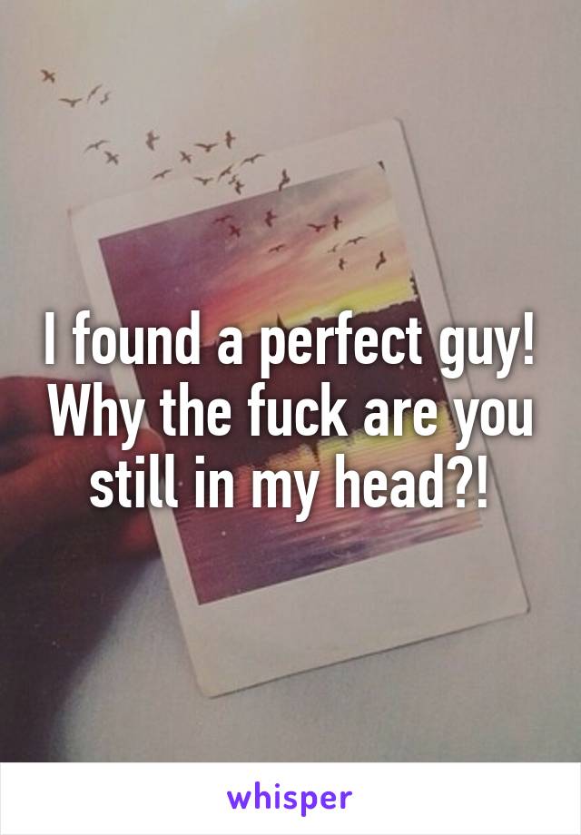 I found a perfect guy! Why the fuck are you still in my head?!