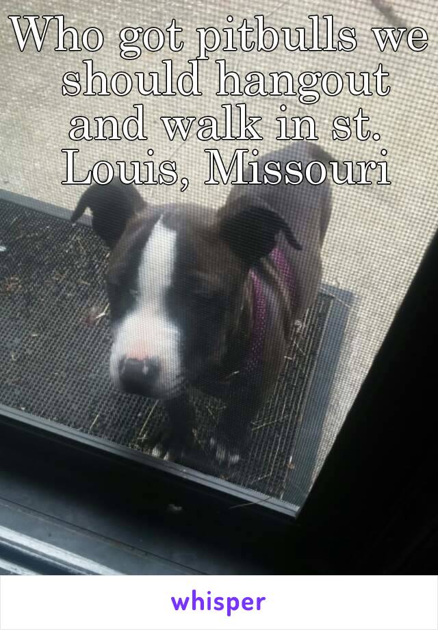 Who got pitbulls we should hangout and walk in st. Louis, Missouri