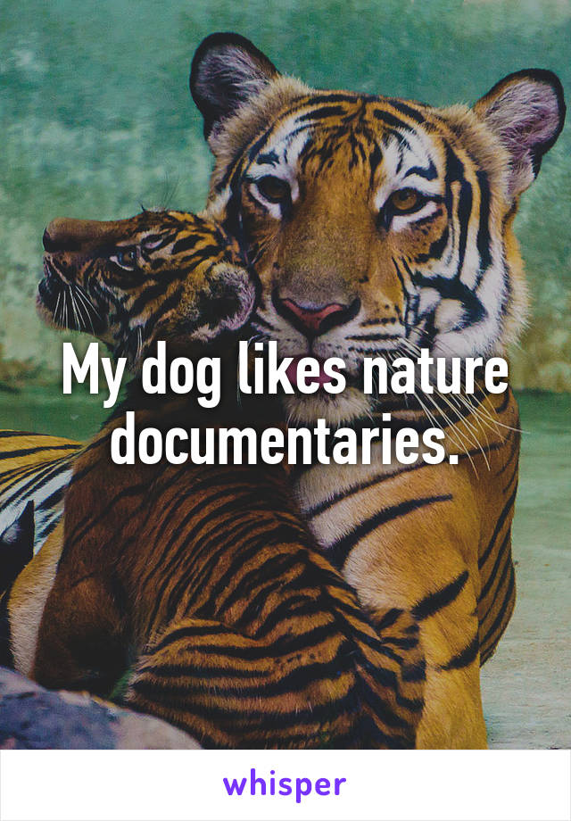 My dog likes nature documentaries.