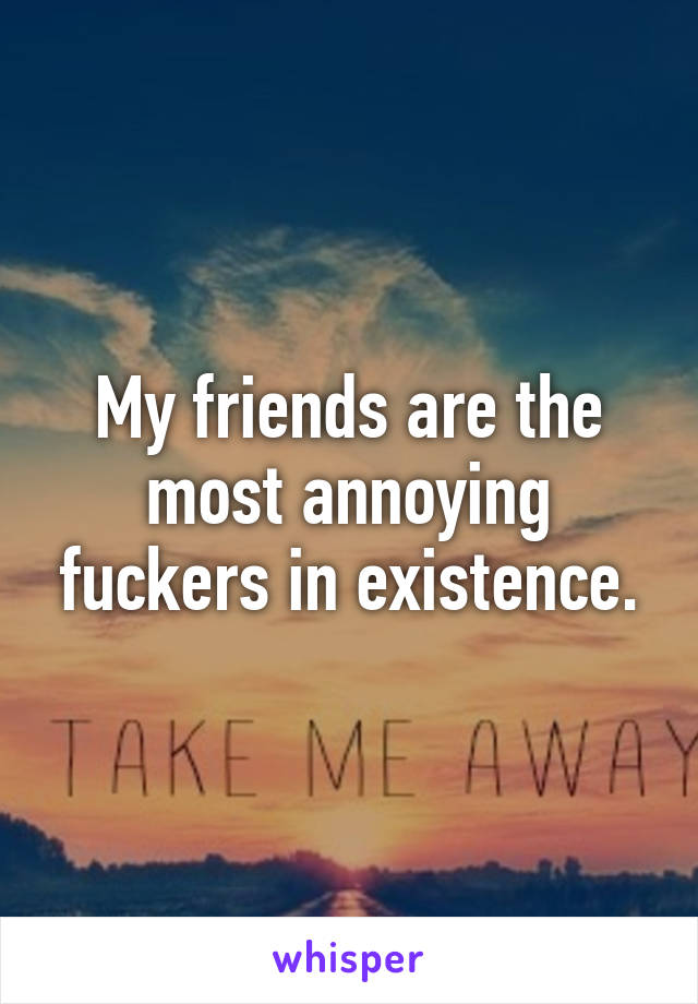 My friends are the most annoying fuckers in existence.